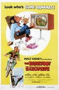 The Barefoot Executive pictures.