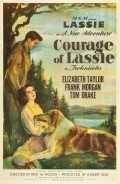 Courage of Lassie - wallpapers.