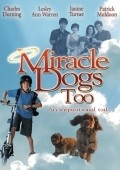 Miracle Dogs Too - wallpapers.