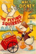 The Flying Squirrel pictures.