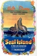 Seal Island - wallpapers.