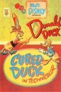 Cured Duck pictures.