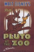 Pluto at the Zoo - wallpapers.