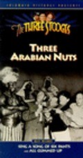 Three Arabian Nuts - wallpapers.