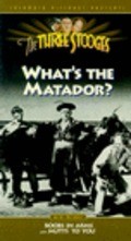 What's the Matador? - wallpapers.