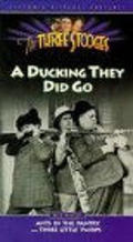 A Ducking They Did Go - wallpapers.