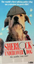 Sherlock: Undercover Dog pictures.