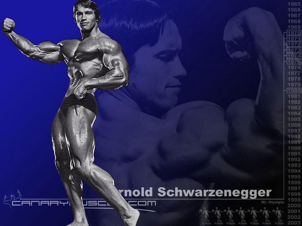 Arnold Schwarzenegger wallpaper