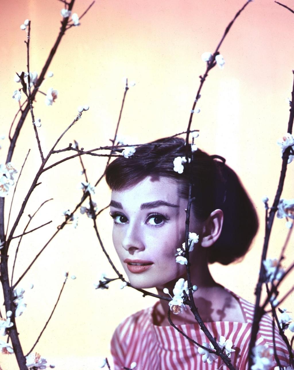 Audrey Hepburn wallpaper