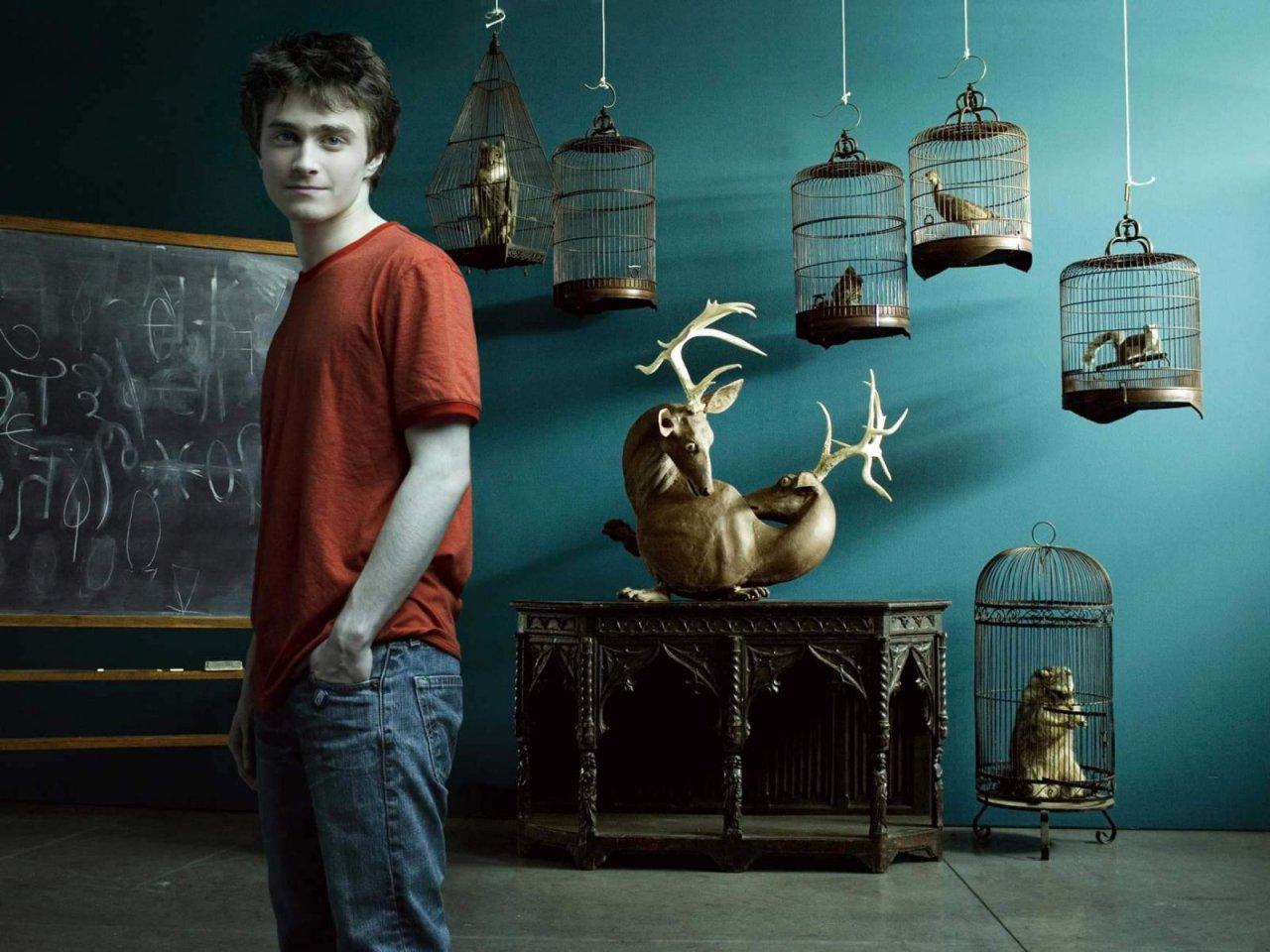 Daniel Radcliffe wallpaper